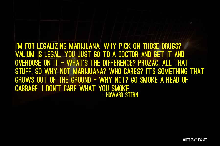 Steininger Gruner Quotes By Howard Stern Steininger Gruner Quotes By Howard Stern