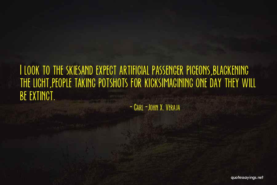 Steinocher Waco Quotes By Carl-John X. Veraja Steinocher Waco Quotes By Carl-John X. Veraja