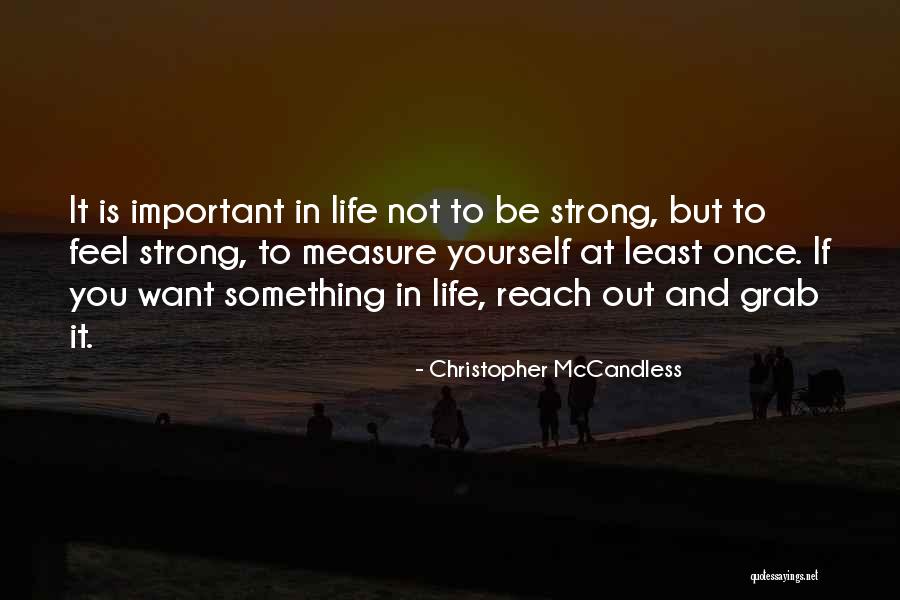 Steintrikes Quotes By Christopher McCandless Steintrikes Quotes By Christopher McCandless