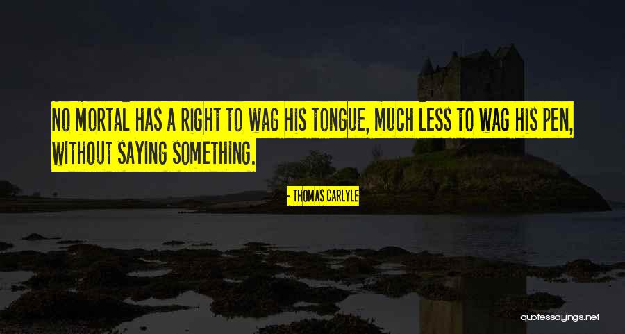 Steinwald Echo Quotes By Thomas Carlyle Steinwald Echo Quotes By Thomas Carlyle