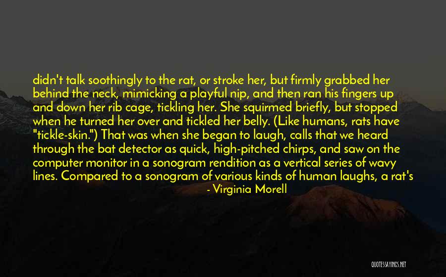 Steinzeit Faustkeil Quotes By Virginia Morell Steinzeit Faustkeil Quotes By Virginia Morell