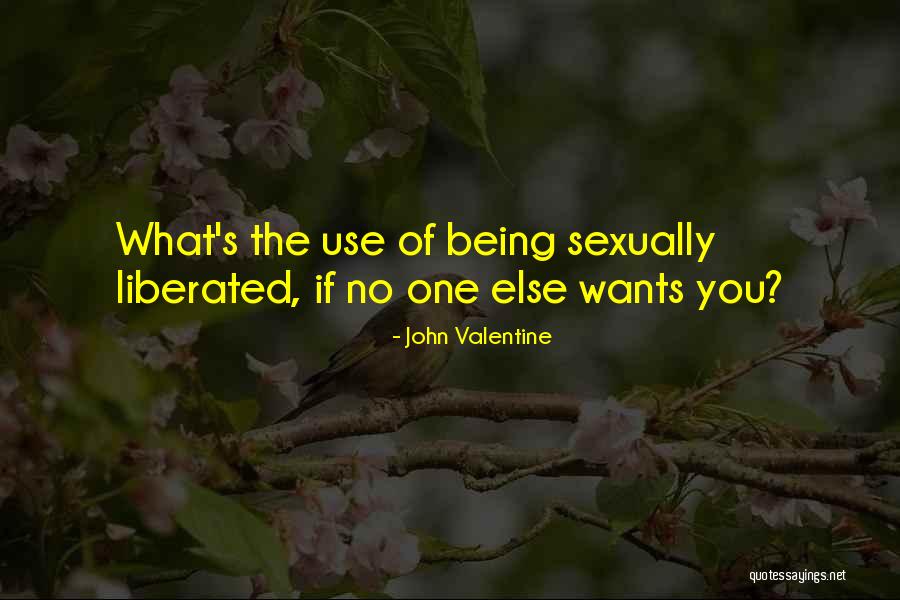 Steisand Quotes By John Valentine Steisand Quotes By John Valentine