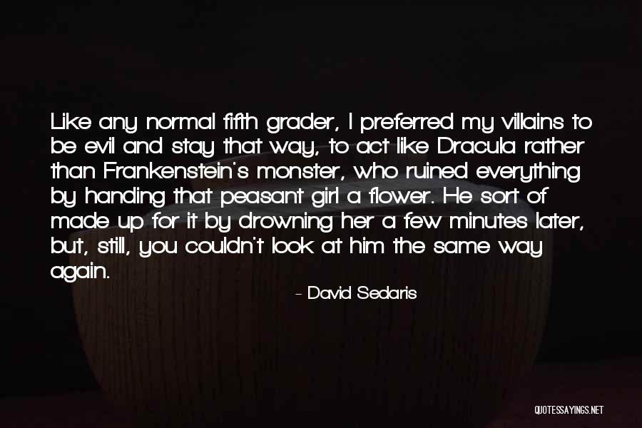 Steitzs Resort Quotes By David Sedaris Steitzs Resort Quotes By David Sedaris