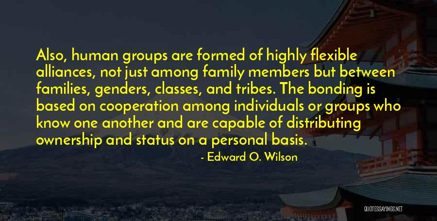 Stelios Legakis Quotes By Edward O. Wilson Stelios Legakis Quotes By Edward O. Wilson