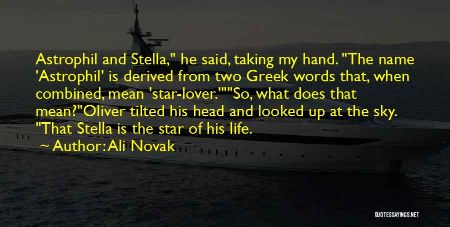 Stella Sky 1 Quotes By Ali Novak