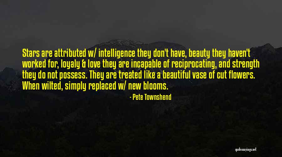 Stellaire Brother Quotes By Pete Townshend Stellaire Brother Quotes By Pete Townshend