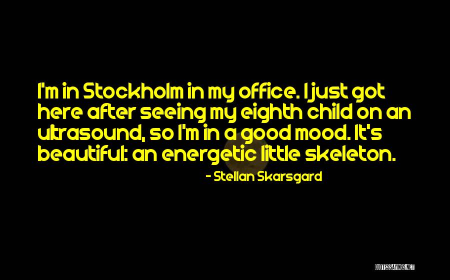 Stellan Skarsgard Quotes 755251