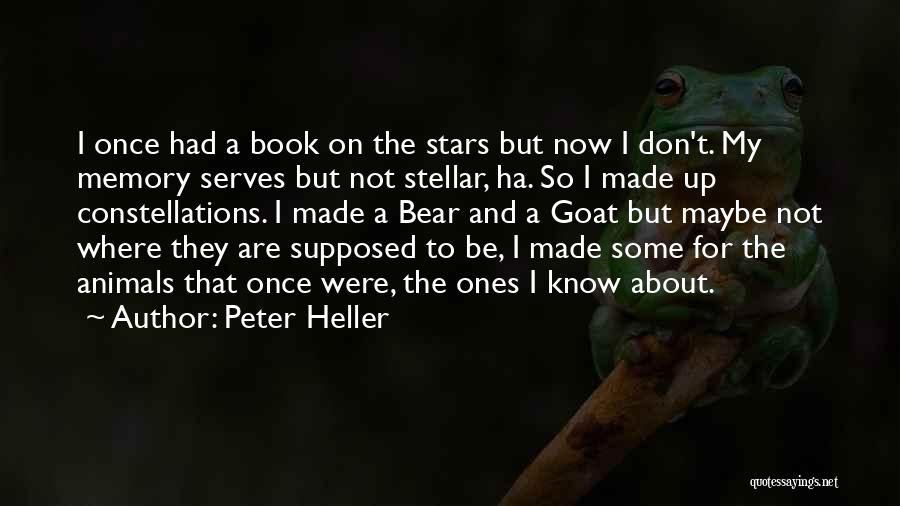 Stellar Quotes By Peter Heller