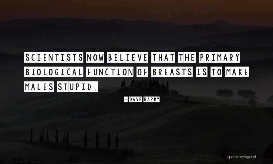 Stellas Grand Quotes By Dave Barry Stellas Grand Quotes By Dave Barry