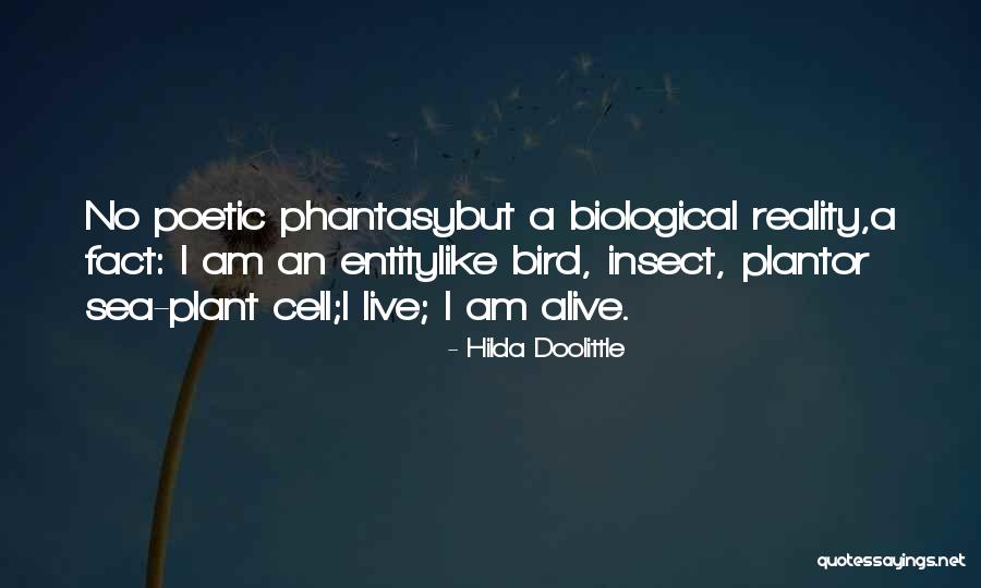 Stelly Physical Therapy Quotes By Hilda Doolittle Stelly Physical Therapy Quotes By Hilda Doolittle