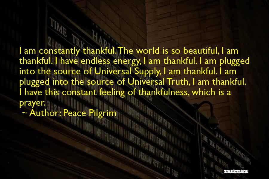 Stembergers Disease Quotes By Peace Pilgrim