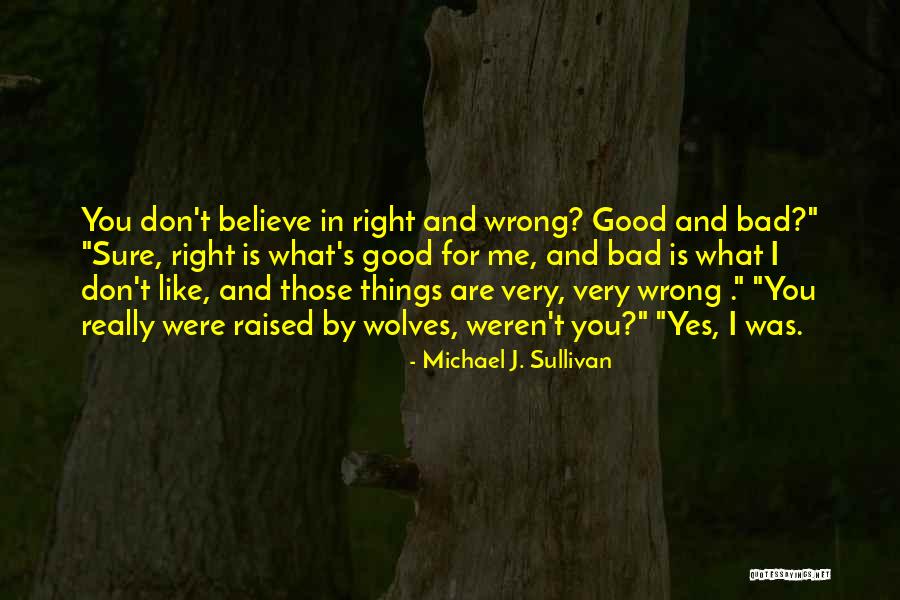 Stemmer Test Quotes By Michael J. Sullivan Stemmer Test Quotes By Michael J. Sullivan