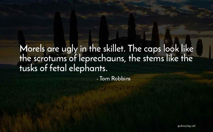 Stems Quotes By Tom Robbins