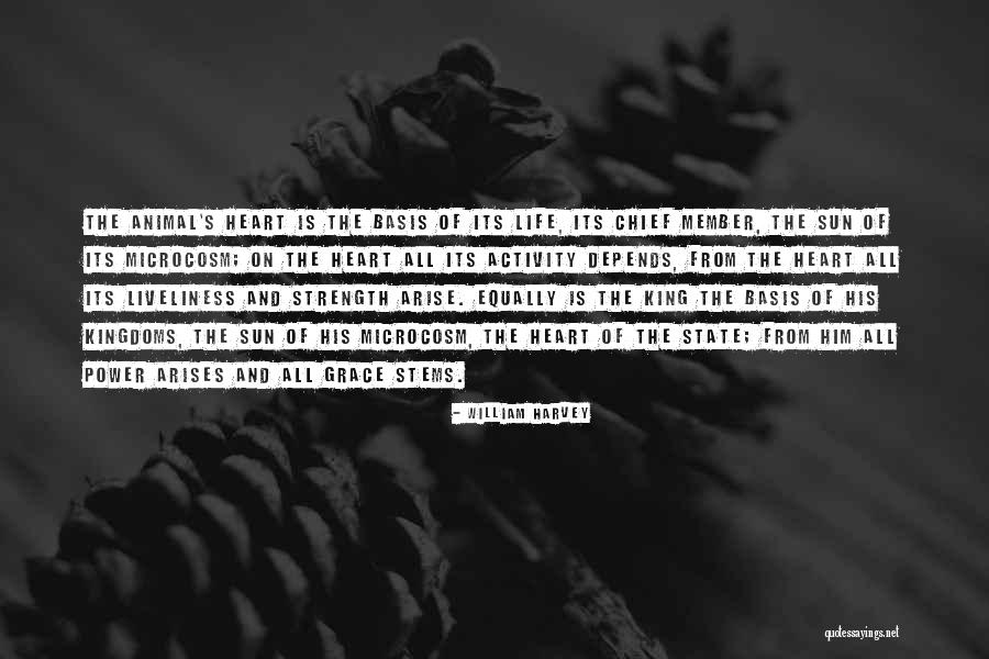 Stems Quotes By William Harvey