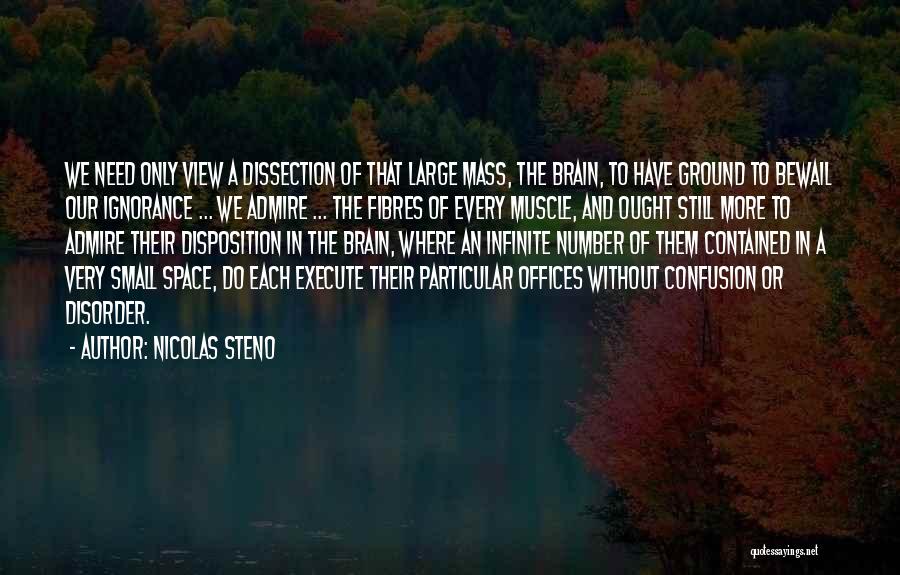 Steno Quotes By Nicolas Steno