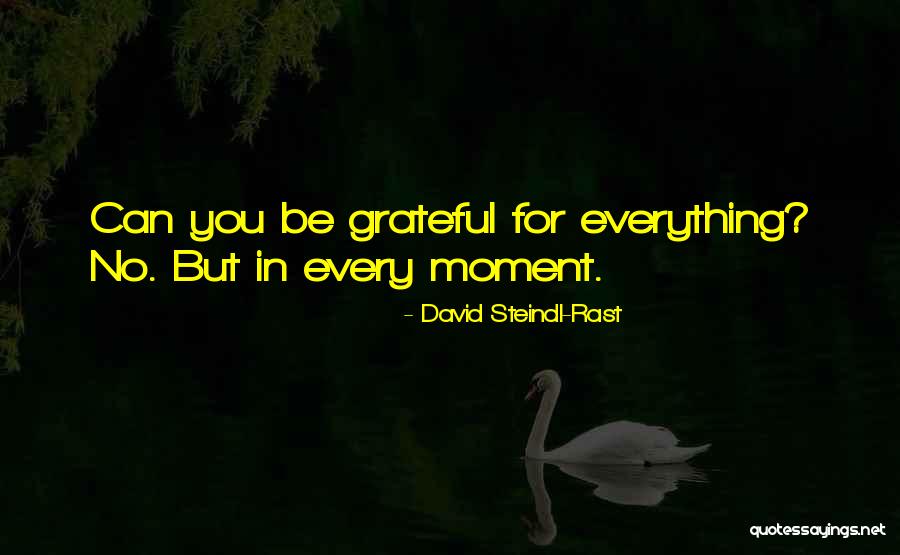Stensens Duct Quotes By David Steindl-Rast Stensens Duct Quotes By David Steindl-Rast