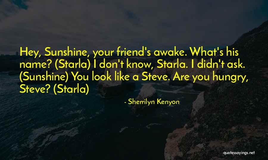 Stenson Quotes By Sherrilyn Kenyon Stenson Quotes By Sherrilyn Kenyon