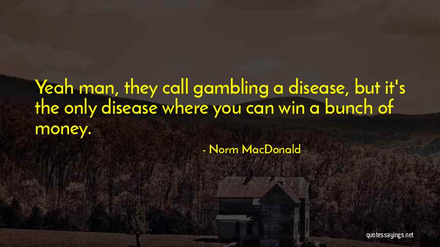 Stenz Corporation Quotes By Norm MacDonald Stenz Corporation Quotes By Norm MacDonald