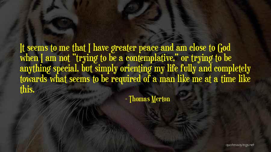 Stenzel Counseling Quotes By Thomas Merton Stenzel Counseling Quotes By Thomas Merton