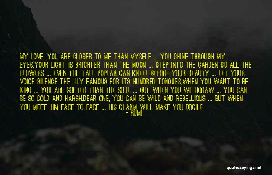 Step Away Quotes By Rumi Step Away Quotes By Rumi