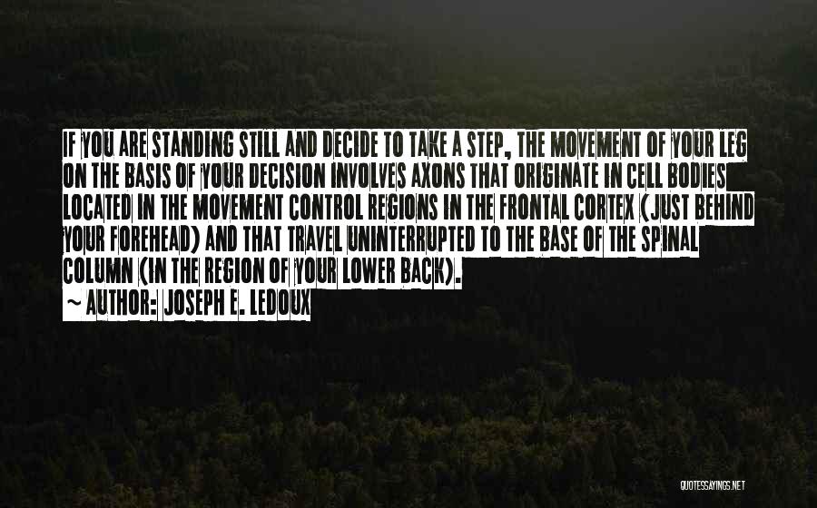 Step Back Quotes By Joseph E. Ledoux