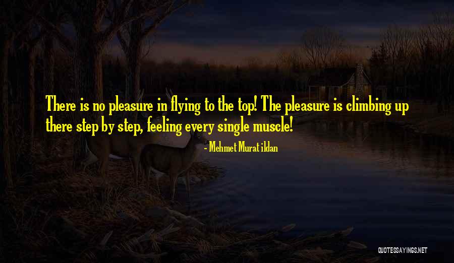 Step Climbing Quotes By Mehmet Murat Ildan Step Climbing Quotes By Mehmet Murat Ildan
