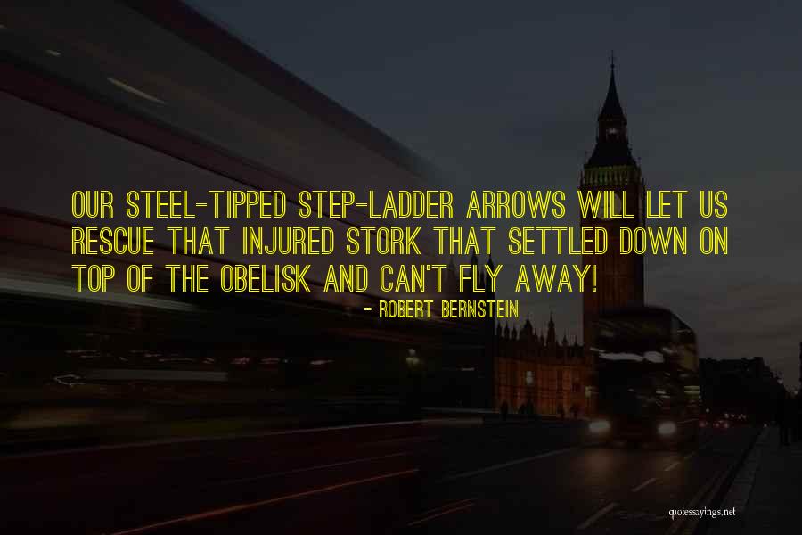 Step Down Quotes By Robert Bernstein