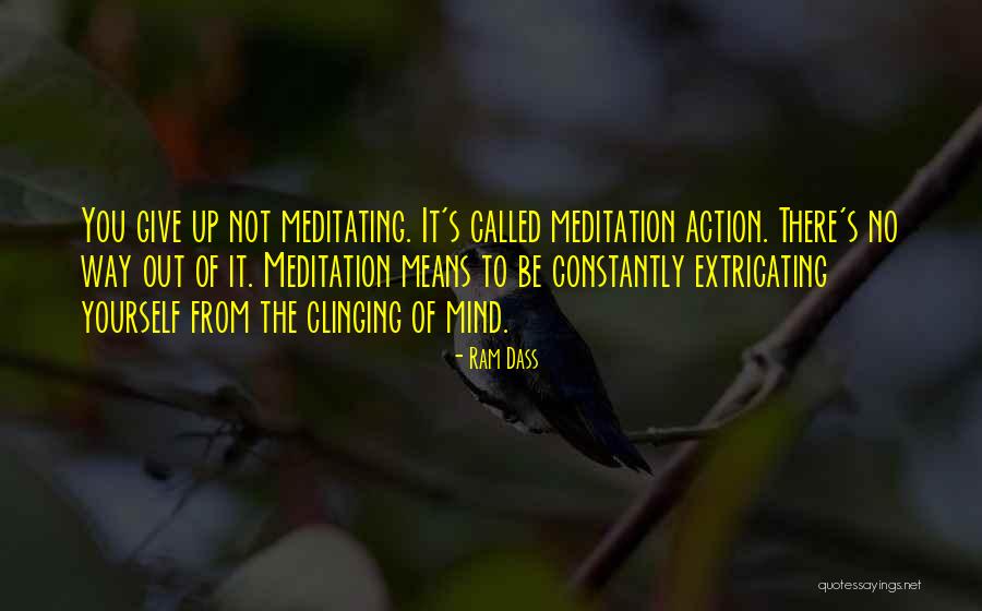 Step Fathers Quotes By Ram Dass Step Fathers Quotes By Ram Dass
