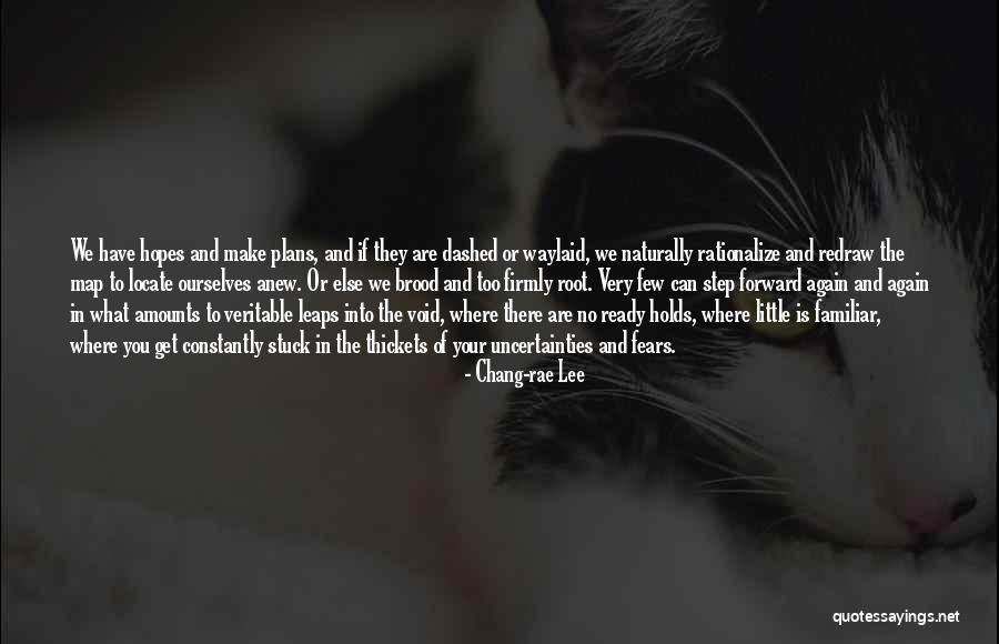 Step Forward Quotes By Chang-rae Lee Step Forward Quotes By Chang-rae Lee