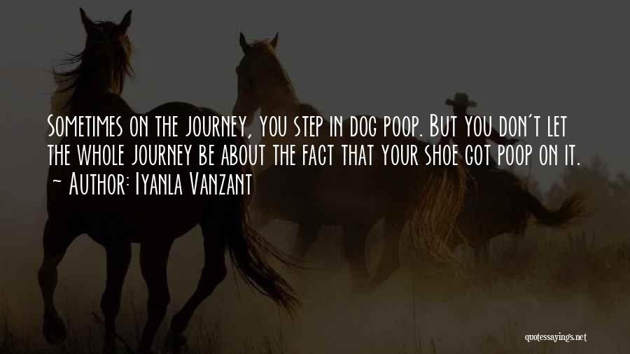 Step In My Shoes Quotes By Iyanla Vanzant