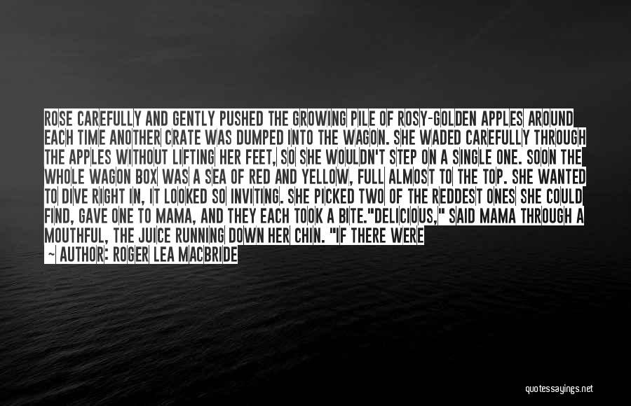 Step Outside The Box Quotes By Roger Lea MacBride