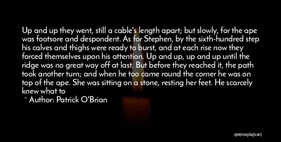 Step Stone Quotes By Patrick O'Brian