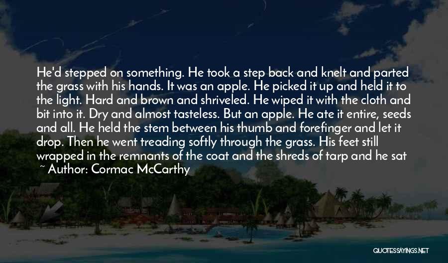 Step Up All In Quotes By Cormac McCarthy