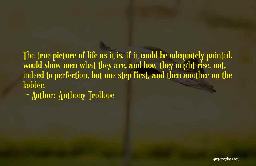 Step Up The Ladder Quotes By Anthony Trollope