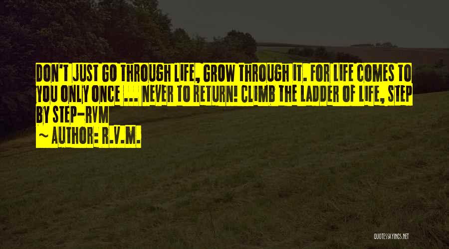 Step Up The Ladder Quotes By R.v.m.