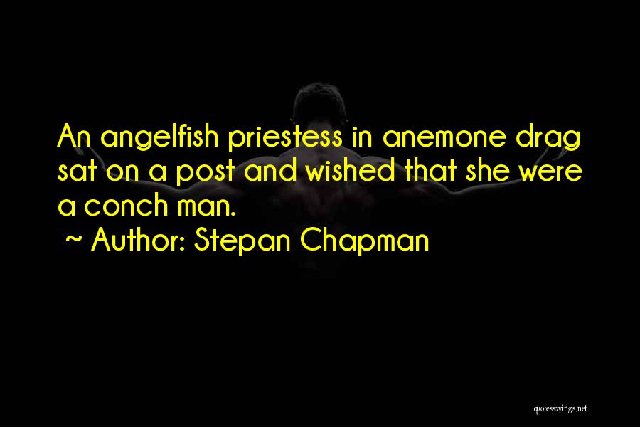 Stepan Chapman Quotes 262974