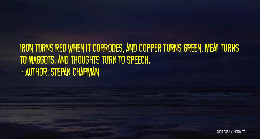 Stepan Chapman Quotes 345760