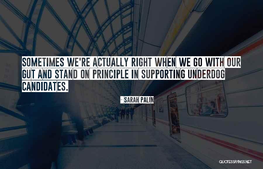 Stepanski Football Quotes By Sarah Palin Stepanski Football Quotes By Sarah Palin