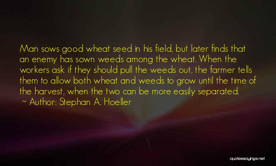 Stephan A. Hoeller Quotes 2216541