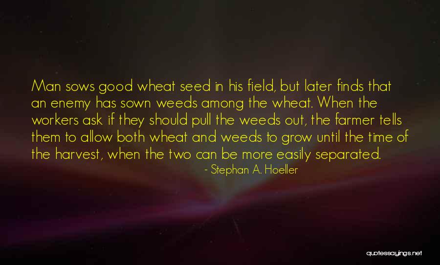 Stephan A. Hoeller Quotes 2216541