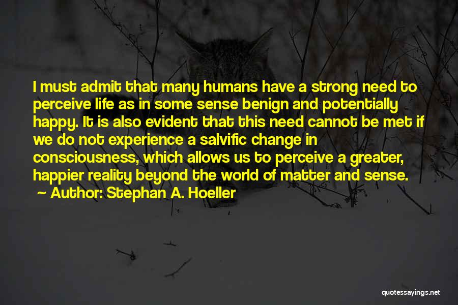 Stephan A. Hoeller Quotes 679619