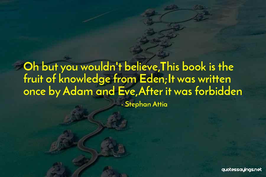 Stephan Attia Quotes 1241618