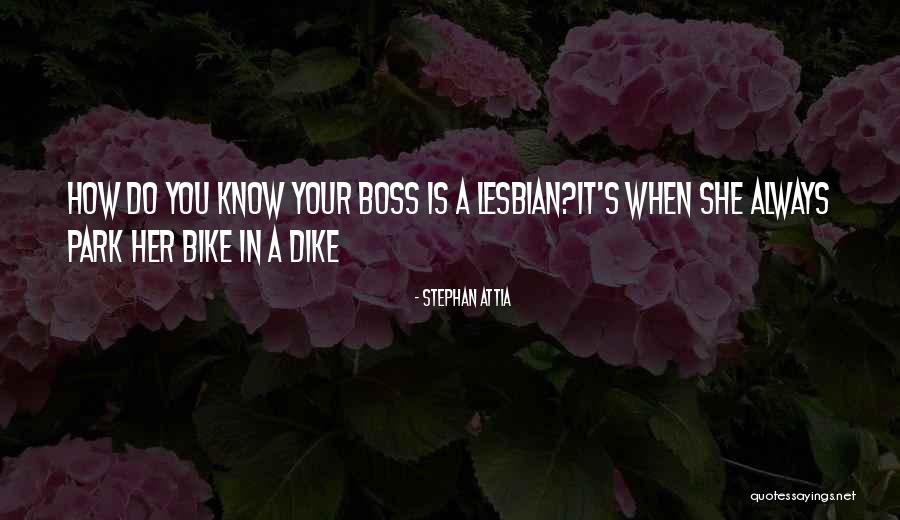 Stephan Attia Quotes 1341221 Stephan Attia Quotes 1341221