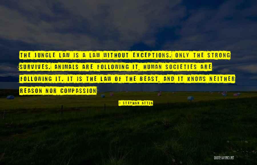 Stephan Attia Quotes 564450 Stephan Attia Quotes 564450
