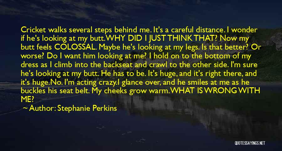 Stephanie Perkins Quotes 1878541