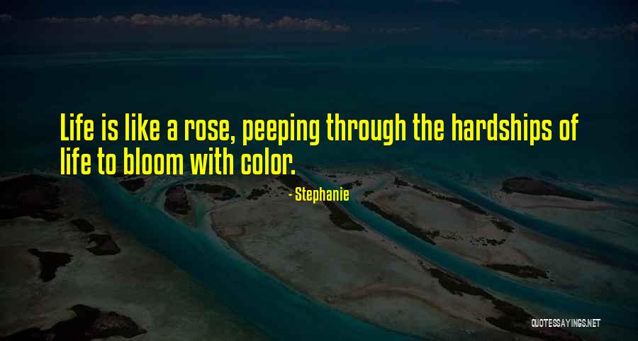 Stephanie Quotes 1772601 Stephanie Quotes 1772601