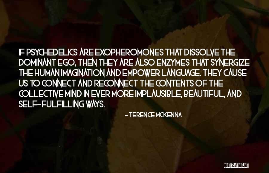 Stephany Rose Quotes By Terence McKenna Stephany Rose Quotes By Terence McKenna
