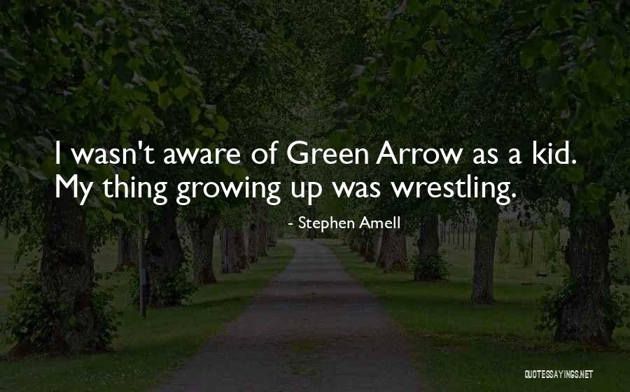 Stephen Amell Quotes 1366866