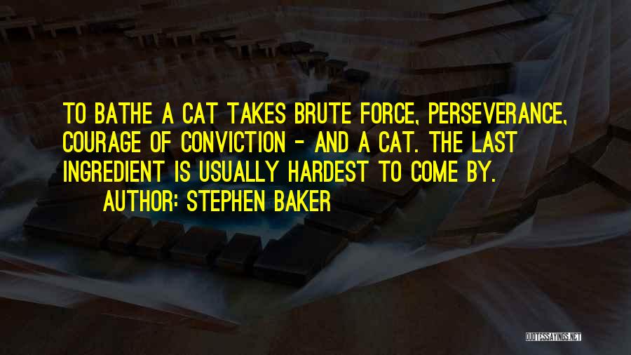 Stephen Baker Quotes 1559920