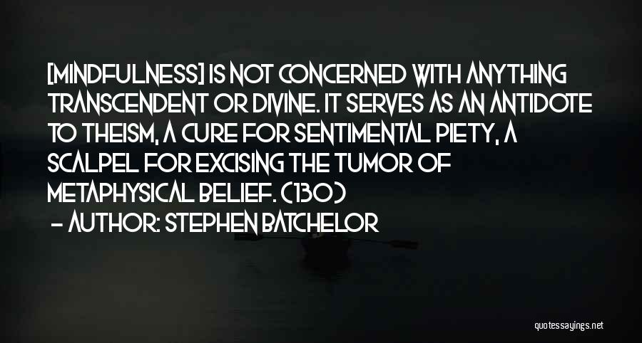 Stephen Batchelor Quotes 1227622